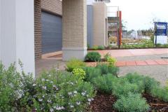 Sierra-Cranbourne-North-Medium-Density-Commercial-Landscape-9-